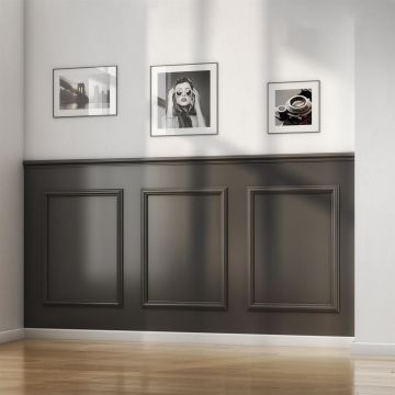 Cheshire Mouldings WPKT1 Dado Wall Panelling Kit (T) 9mm (W) 45mm (H) 2000mm