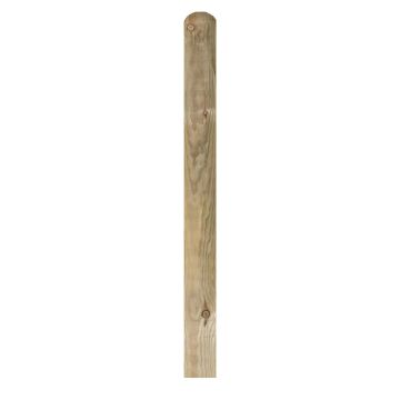 Treated Round Top Picket Fence Board (T) 22mm (W) 75mm (L) 0.9m - Pack of 10